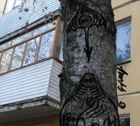 Осьминоги и скаты в стволе тополя