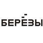 берёзы