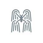 gerridae